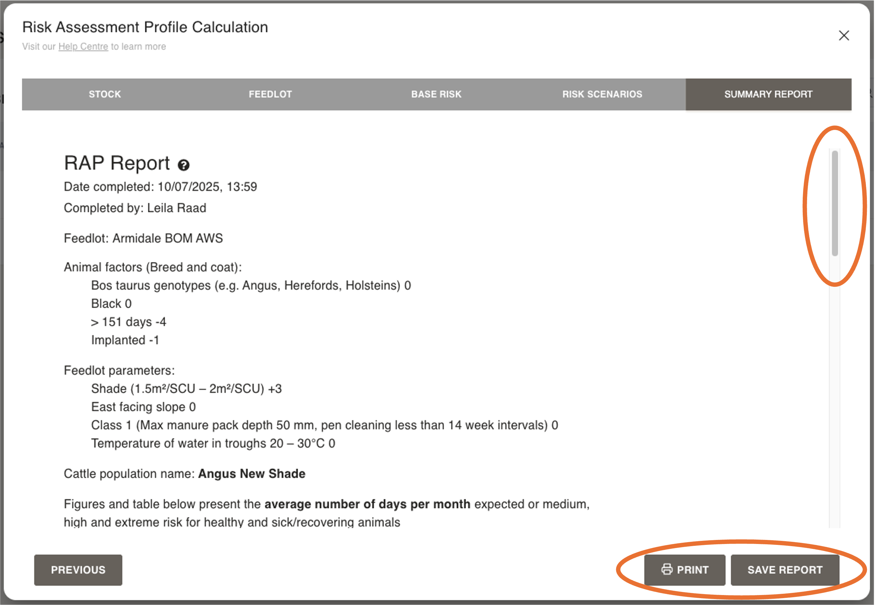 Updated RAP Summary Report.png